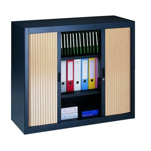 Générique Armoire Basse à Rideaux démontables Décor 100 x 120 cm Corps Anthracite