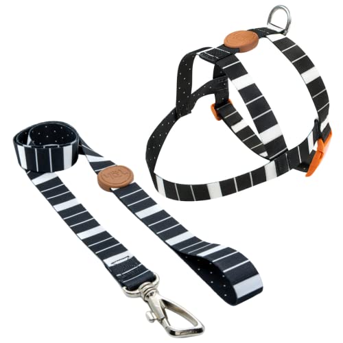 Conjunto Peitoral Tradicional e Guia, Eclipse, P, Toh