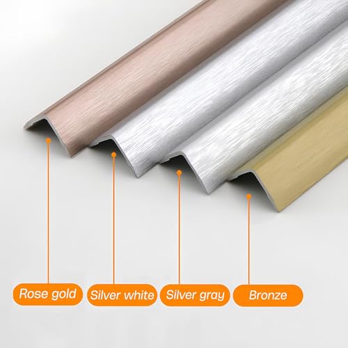 Nez de marche antidérapant en aluminium de 100 cm résistant