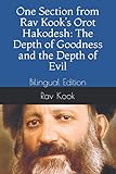 One Section from Rav Kook’s Orot Hakodesh: The Depth of Goodness and the Depth of Evil: Bilingual Edition