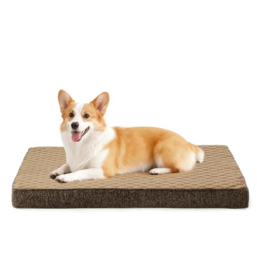 JOEJOY Panier Chien Moyen Taille Orthopedique, Coussin...