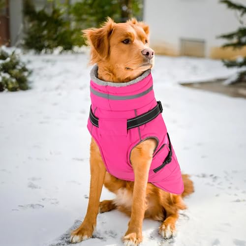 Chaqueta reflectante para perro ideal para paseos nocturnos lluviosos 8