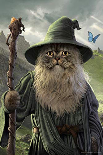 Catdalf Wizard Cat Animal Mashup by Vincent HIE Fantasy Cat Poster Funny Wall Posters Kitten Posters for Wall Funny Cat Poster Inspirational Cat Poster Cool Wall Decor Art Print Poster 24x36