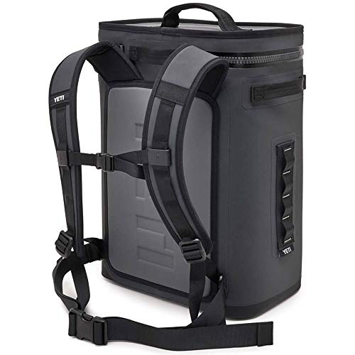https://m.media-amazon.com/images/I/41rmOaFuqAL._SL500_.jpg
