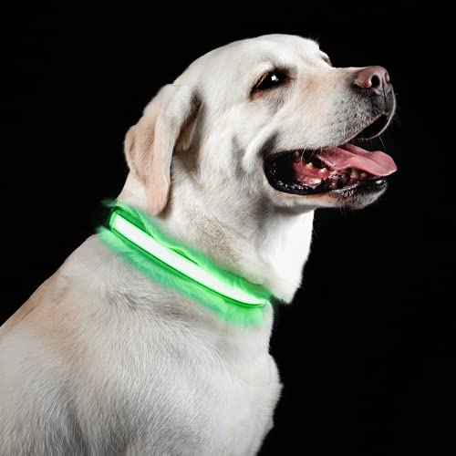 usb led dog collar