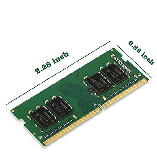 https://m.media-amazon.com/images/I/41rmQUNeEwL._SL500_.jpg