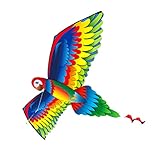 Das helle und schöne Papageien-Aussehen ist exquisit und interessant, was die Aufmerksamkeit der Menschen sehr gut auf sich ziehen kann.