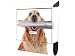 Produktbild KlebeSpatz® Motiv Wand Briefkasten Premium mit Zeitungsfach Zeitungsrolle für C4 Hund mit Zeitung Golden Retriever