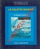  Gli oceani. Le calotte bianche.