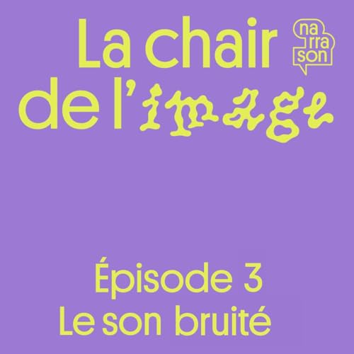 La chair de l&rsquo;image ( 3/6 ) : Le son bruit&eacute;