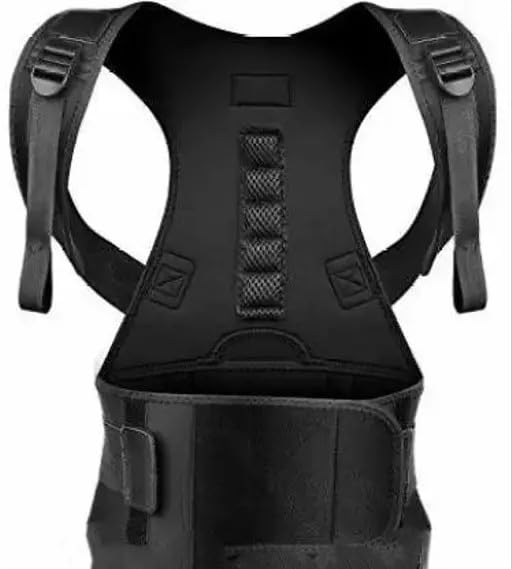 TOTAL Ortho care - Posture Corrector with Magnetic Lumbar Support, Adjustable Back Brace for Neck, Hip, Knee and Low Back, Free size (B0D43KR678) Amazon Price History, Amazon Price Tracker