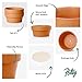 POTEY Terracotta Shallow Planters for Succulent - 6.1 Inch Cactus Plant Containers Indoor Garden Bonsai Pots with Drainage Hole - Set of 2, Unglazed