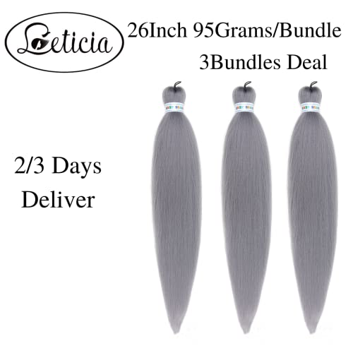 Gray Braiding Hair Pre Stretched Prefeathered Braiding Hair Extension #TOP2