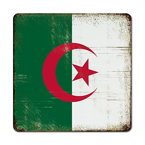 Targa in metallo Algeria Algeria con bandiera del Paese in metallo retrò cartello artistico in metallo, pronto da appendere, cartello da parete in latta per portico, garage, giardino, 25,4 x 25,4 cm