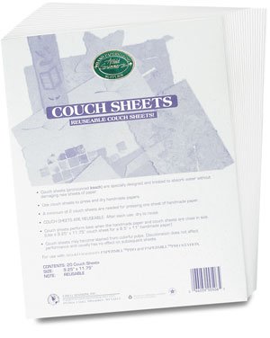 Arnold Grummer's Pack of 20 Medium Couch Sheets 6 x 9 inch Reusable Couch Sheets