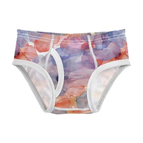 visesunny Boys Cotton Underwear Elegant Watercolor Flower Printed Toddler Soft Training Briefs Size 2T-8Y for Kids - Main Image