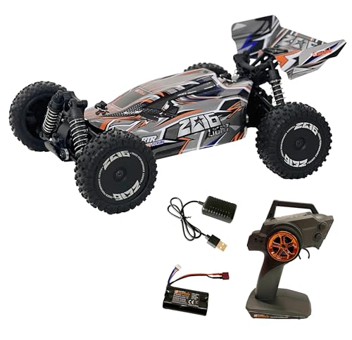 DF Models Z06 Light Buggy RTR 3133 (L x l x H 31 x 20,5 x 12 cm, Environ 1000 g, échelle 1:14, jusqu'à 40 km/h, à partir de 14 Ans, avec Batterie et câble...
