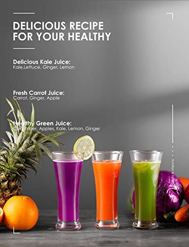 Juicer Machines, FOHERE Juicer Whole Fruit and Vegetables with 3-Speed Setting, Upgraded Version Max Power 800W Motor Quick Juicing, Cleaning Brush and Juicing Recipe Included - Image 3