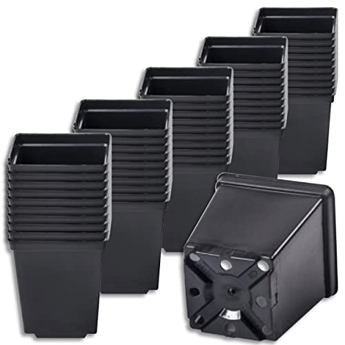 Wohnkult Pflanztopf Blumentopf Blumenkübel schwarz, klein, quadratisch, 3 zur Auswahl (1 l Volumen | 50 Stück) Wohnkult Pflanztopf Blumentopf Blumenkübel schwarz, klein, quadratisch, 3 zur Auswahl (1 l Volumen | 50 Stück)