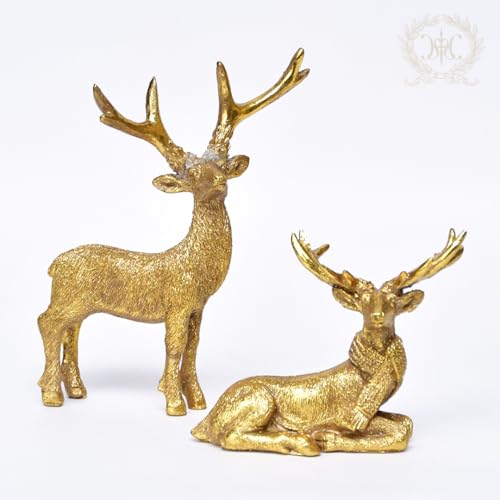 S[htHXggiJCIuWF2RZbg NX}X u   NVJ ~j`A 킢