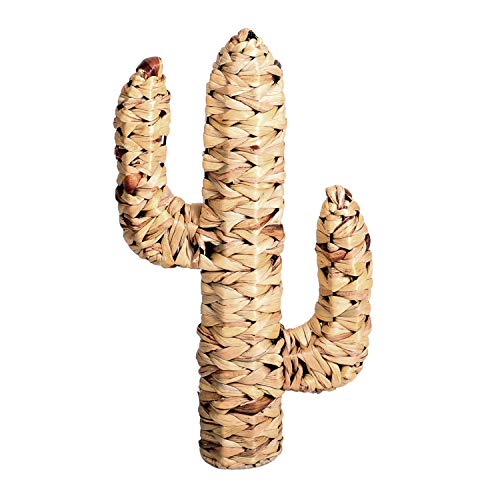 Cactus en Jacinthe d'eau tressée Natural Living - H. 45 cm - Marron Cover