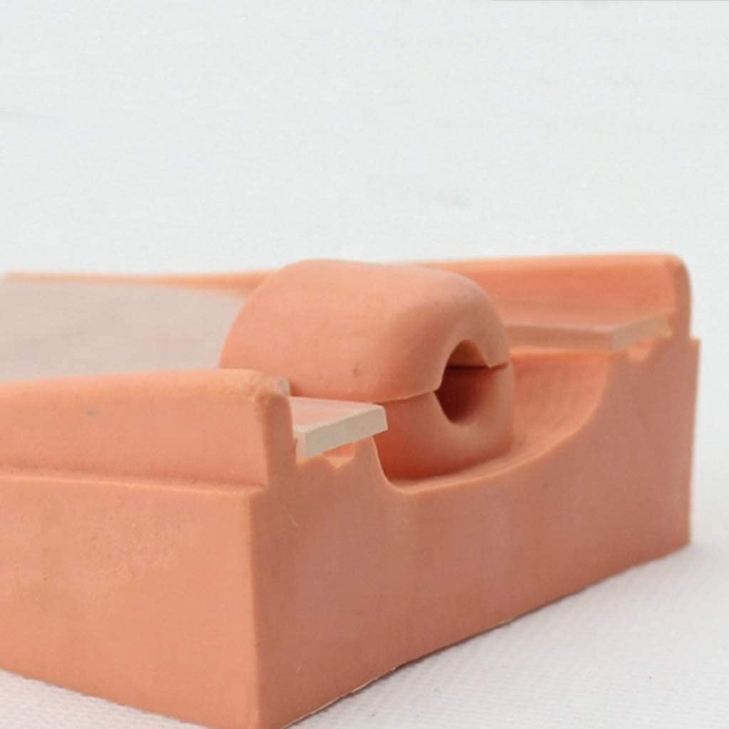 Modello di Guida alla Contraccezione Modello di Addestramento alla Contraccezione Intrauterina Modello di Dispositivo per Il Parto Interno Ed Esterno Dell'Utero Femminile Display Didattico