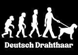 Made in Germany. Autoaufkleber/Sticker Innen + Außen/Evolution Mann - 30 cm weiß Hund Deutsch Drahthaar 01