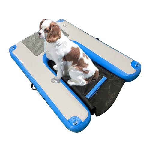 Rampe d'eau gonflable pour chien grand et petit modèle - 2