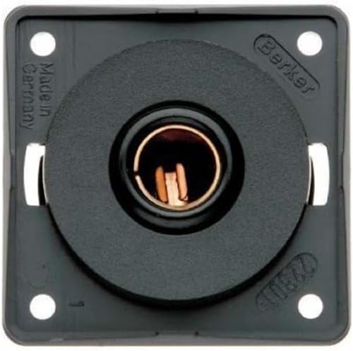Berker Powersteckdose 12 V für Normstecker Integro anthrazit matt