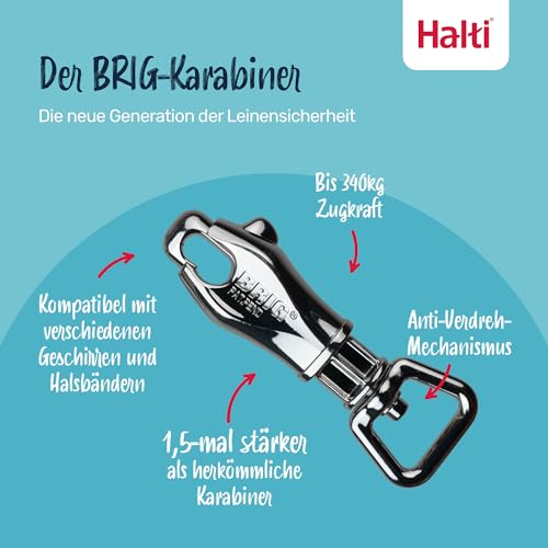 Halti BRIG Sicherheitsleine - Farbcodierte Hundeleine mit Ultrastarker Karabiner, Reflektierend, Gepolsterter Griff & D-Ring. Designt für Große Hunde (Schwarz, 1,5m Lang)
