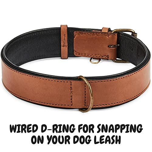 Real Leather Dog Collar Padded Soft Interiors with Premium Vintage Look Handcrafted Heavy Duty with Tag Ring for Small Medium and Large Pets (X-Large (1.75" Wide for 20" - 24" Neck), Cognac) by Wise Owl Accessories - Image 3