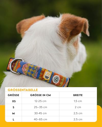 Woolly Wolf Nightless Night Halsband für kleine Hunde Gr. S - Verstellbares Hundehalsband mit maximaler Passform aus recyceltem Polyester, Bequemer Sitz
