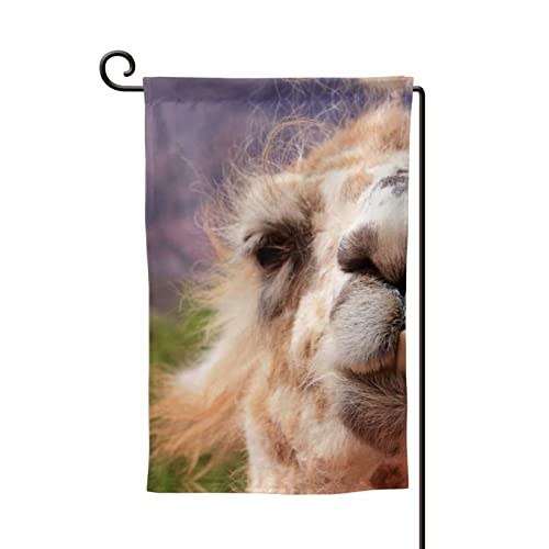Drapeau de jardin lama imprimé double face pour égayer votre terrasse et vos plantes