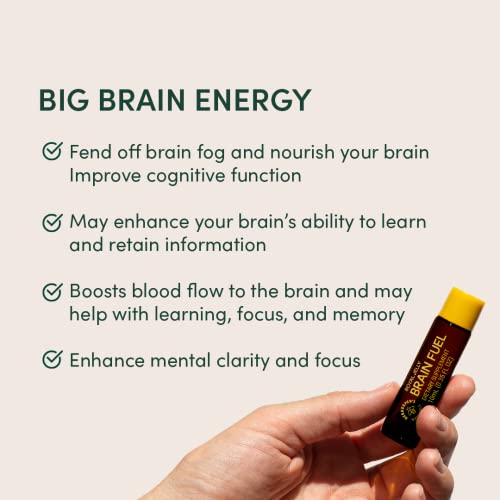 Beekeeper's Naturals B.lxr Brain Fuel - Memory, Focus And Clarity Liquid Formula, Supports Productivity - Royal Jelly, Ginkgo Biloba, Bacopa Monnieri - Keto Friendly, Gluten & Caffeine-Free, (6 Ct) #TOP3