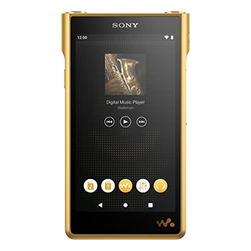 Sony Nw-Wm1Zm2 256Gb Signature Series Premium Digital Music Player #TOP1