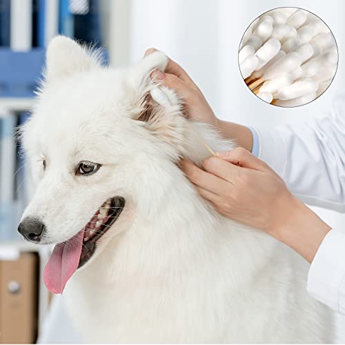 KHDULQ 100 Stücke Wattestäbchen für Hunde, Ohrreiniger für Hunde Milben Hund Wattestäbchen Lang Ohr Reinigungstupfer Ohr Reinigung für Haustiere Wattestäbchen für Haustiere, Hunde, Katzen