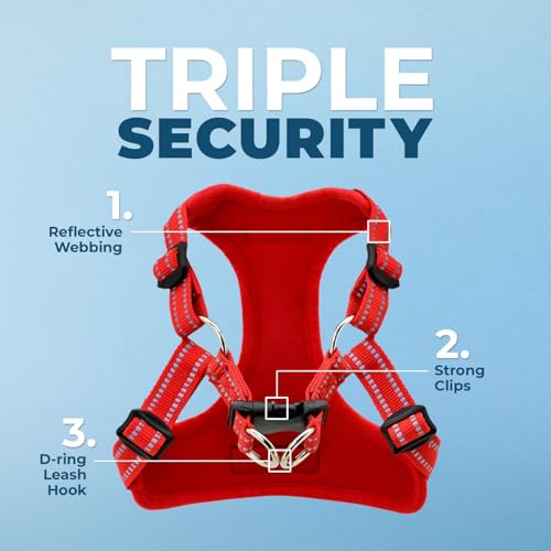 Image of Best Pet Supplies Voyager Adjustable Step-in Flex Breathable Mesh Dog Harness for Small Medium Large Dogs Leash Set (Red), XS