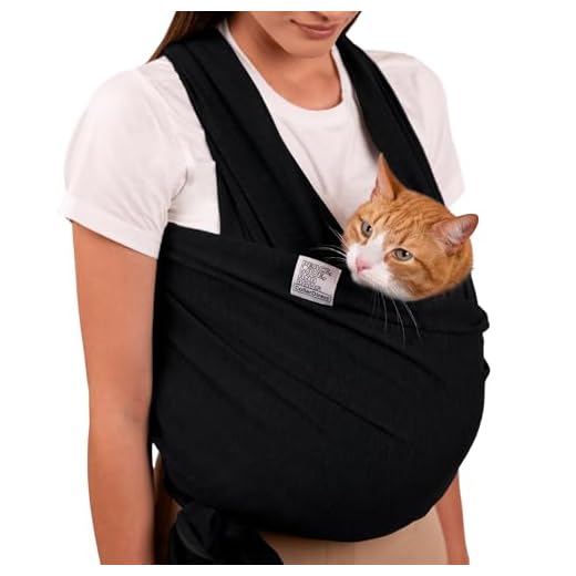 41rmv0Fsj-L._SS520_ Best pet carrier sling