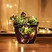 Produktbild Akarden Fairy Garden, Blumen, Sukkulententopf, Feen-Design, DIY Container und Süßhaus für Dekoration, Innendekoration und Geschenk