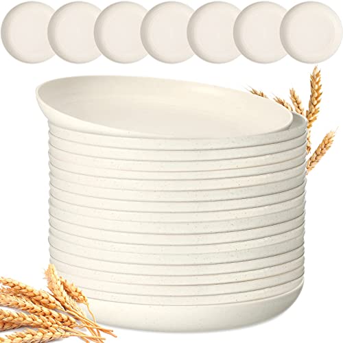 18 Pcs 9 Inch Wheat Straw Plates Lightweight Unbreakable Deep Dinner Plates Reusable Plastic Plates Microwave Safe Dinnerware For Kids Children Toddler Adult (Beige) #TOP3