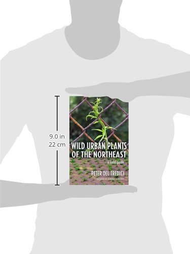 Wild Urban Plants of the Northeast: A Field Guide - Image 2