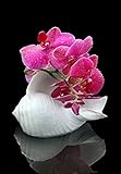 Stickers Zen Bambous galets nature spa orchidées sable bouddha.