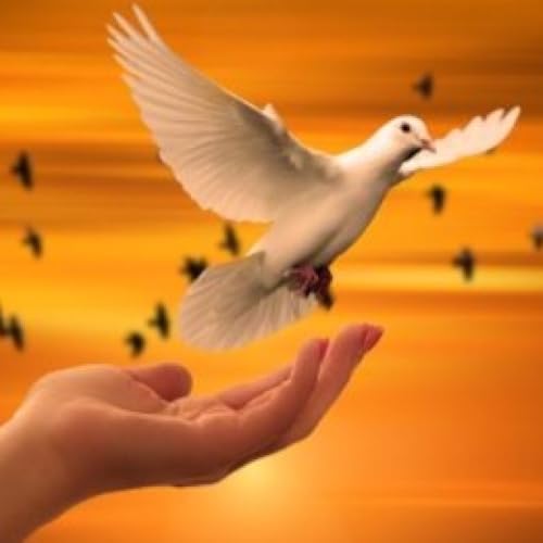 La paz que me alienta