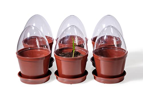 Kimmel Anzuchttopf 12 er Set mit praktischer Aufbewahrungsbox, Kunststoff, Brown