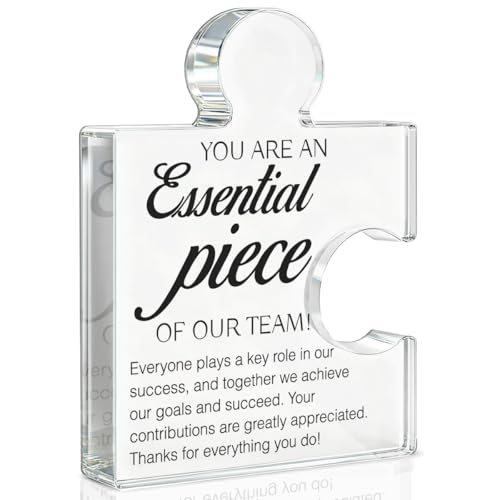 Team Appreciation Gifts Thank You Gift for Coworkers Colleagues Employees, Best Team Ever Gifts You...