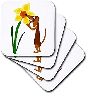 3dRose Funny Brown Dachshund Puppy Dog Sniffing Daffodil Flower Art - Soft Coasters