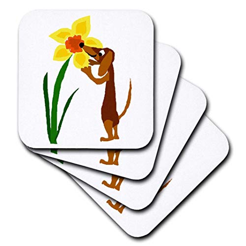 3dRose Funny Brown Dachshund Puppy Dog Sniffing Daffodil Flower Art - Soft Coasters