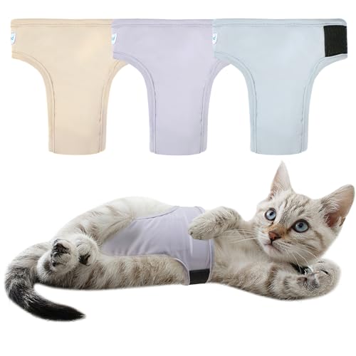 Diapers for Cats The 15 best products compared Wild Explained