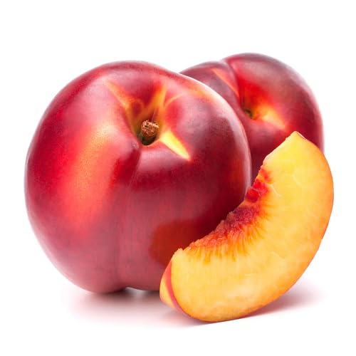 30Pcs red Nectarine Fruit Seeds