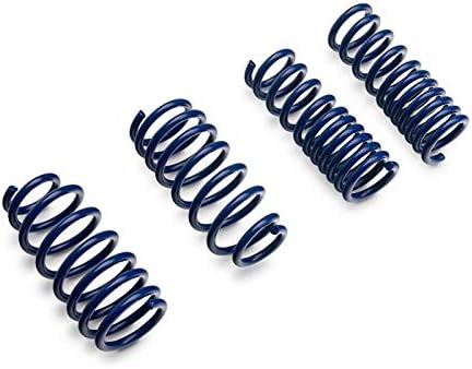 SR Performance Lowering Springs for 2008–2023 Dodge Challenger (Excluding SRT)